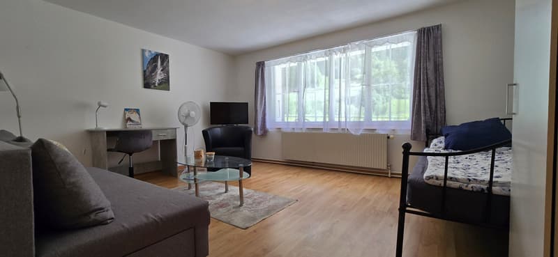 Investieren, wo andere träumen  Ihr AirBnB-Juwel im Berner Oberland (6)