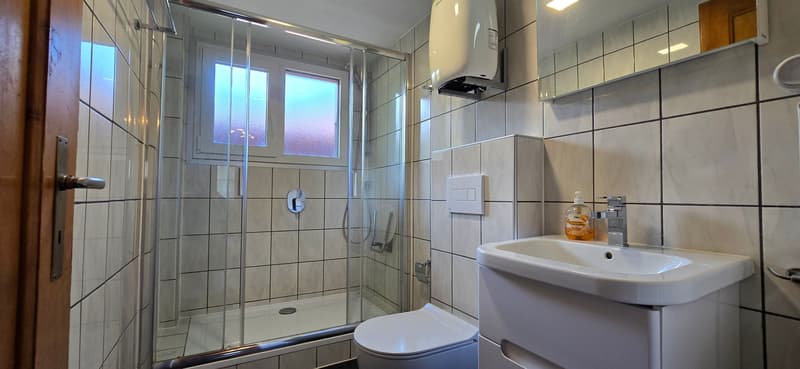 Investieren, wo andere träumen - Ihr AirBnB-Juwel im Berner Oberland (9)