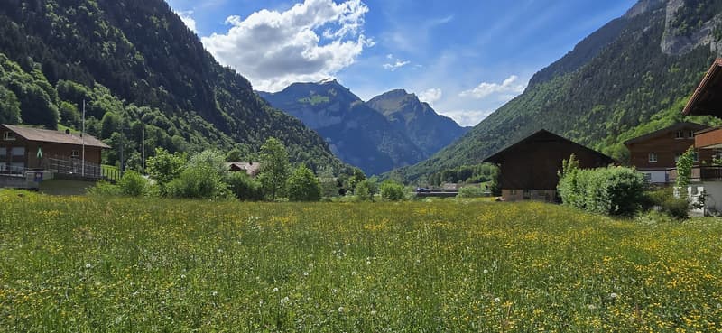 Investieren, wo andere träumen - Ihr AirBnB-Juwel im Berner Oberland (5)
