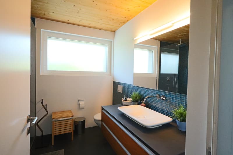 Moderne 4.5-Zimmer-Attika-Maisonette in ökologischer Vorzeige-Siedlung mit grosser Terrasse (14)