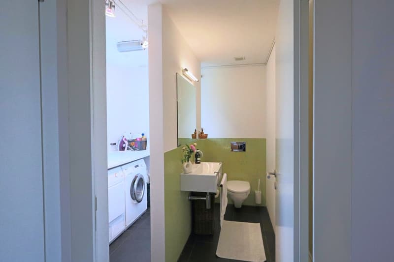 Moderne 4.5-Zimmer-Attika-Maisonette in ökologischer Vorzeige-Siedlung mit grosser Terrasse (8)