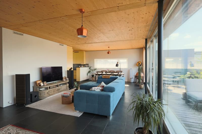 Moderne 4.5-Zimmer-Attika-Maisonette in ökologischer Vorzeige-Siedlung mit grosser Terrasse (5)