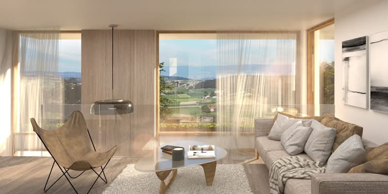 Le Domaine du Blanchet - Spacieuses villas contemporaines entre ville et nature (3)