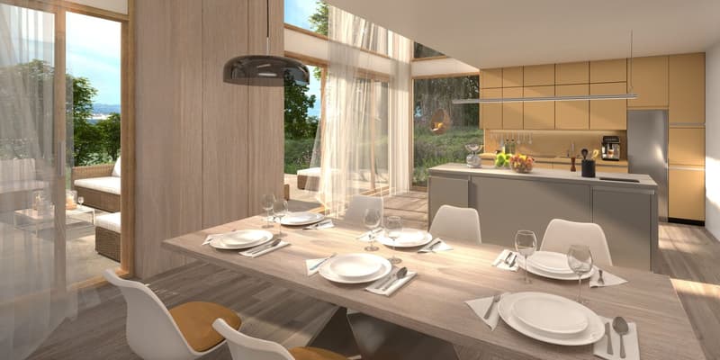 Le Domaine du Blanchet - Spacieuses villas contemporaines entre ville et nature (9)
