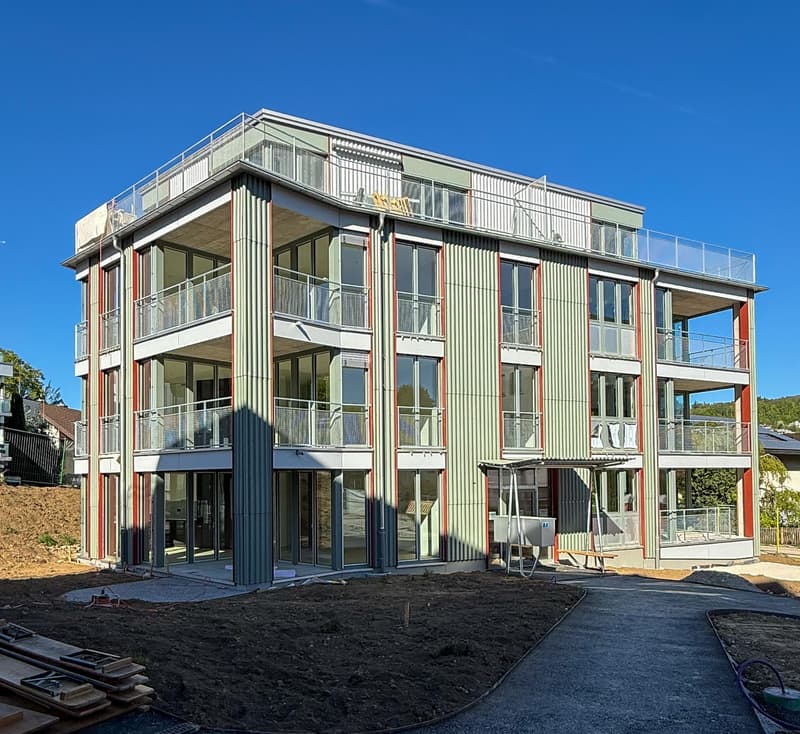 2.5 Zimmerwohnung in Affoltern am Albis (7)