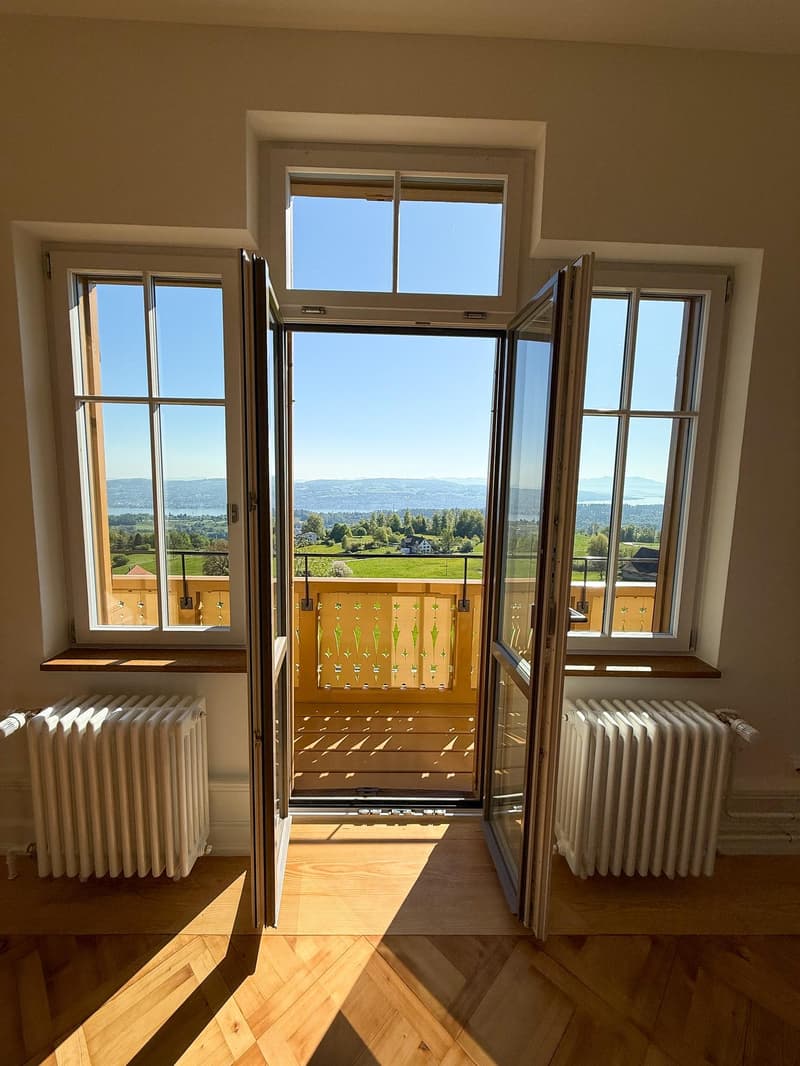 2.5 Zi-Wohnung mit atemberaubender Weitsicht (5)