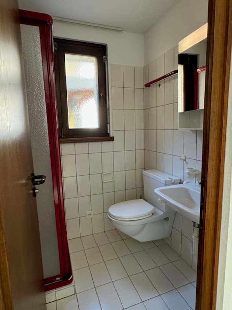 Vivere davanti alla cascata della Piumogna: casa unica a Faido (7)