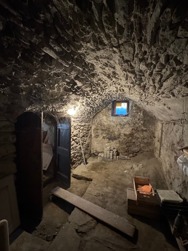 🏡 Malvaglia | Stabile con 3 appartamenti e rustico (14)