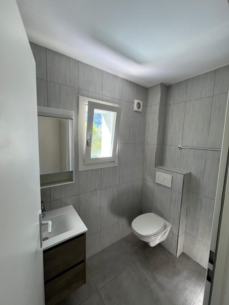 Appartement 3 pièces rénové au cœur de Moutier (5)