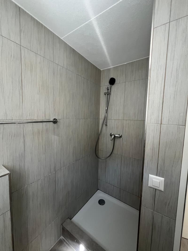 Appartement 3 pièces rénové au cœur de Moutier (6)