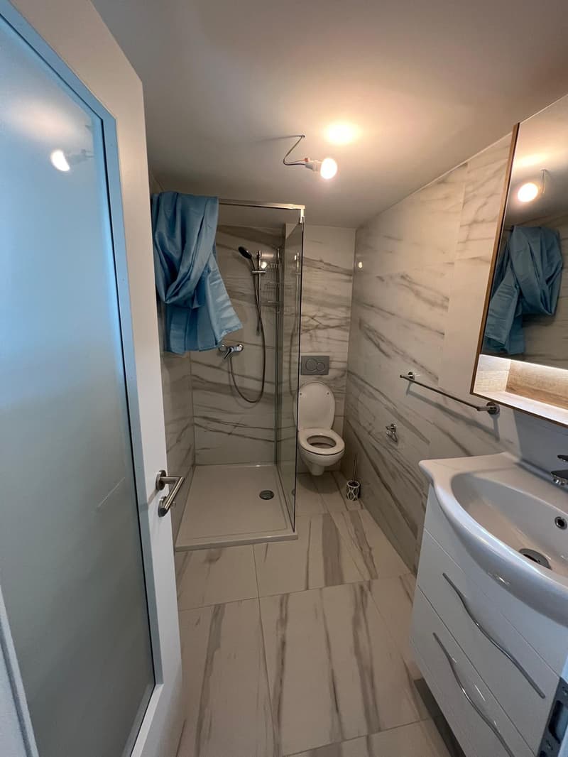 Charmant appartement sous les toits de 2 pièces à Frinvillier, entièrement rénové ! (7)