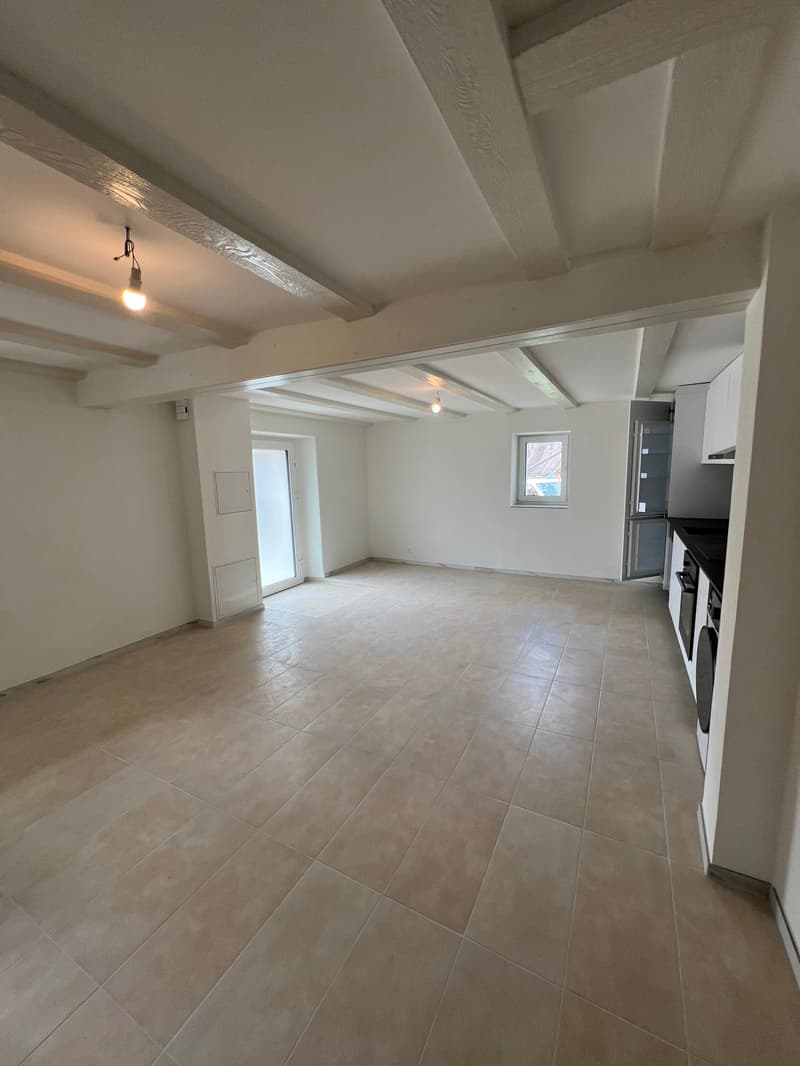 Charmant appartement sous les toits de 2 pièces à Frinvillier, entièrement rénové ! (6)