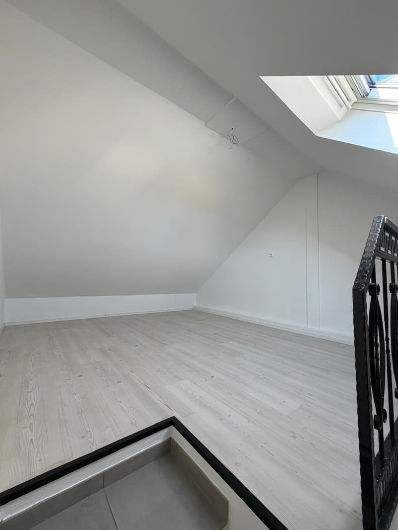 Appartement 2,5 pièces rénové avec mezzanine / Renovierte 2.5-Zimmer-Wohnung, Bahnhof in Gehdistanz (7)