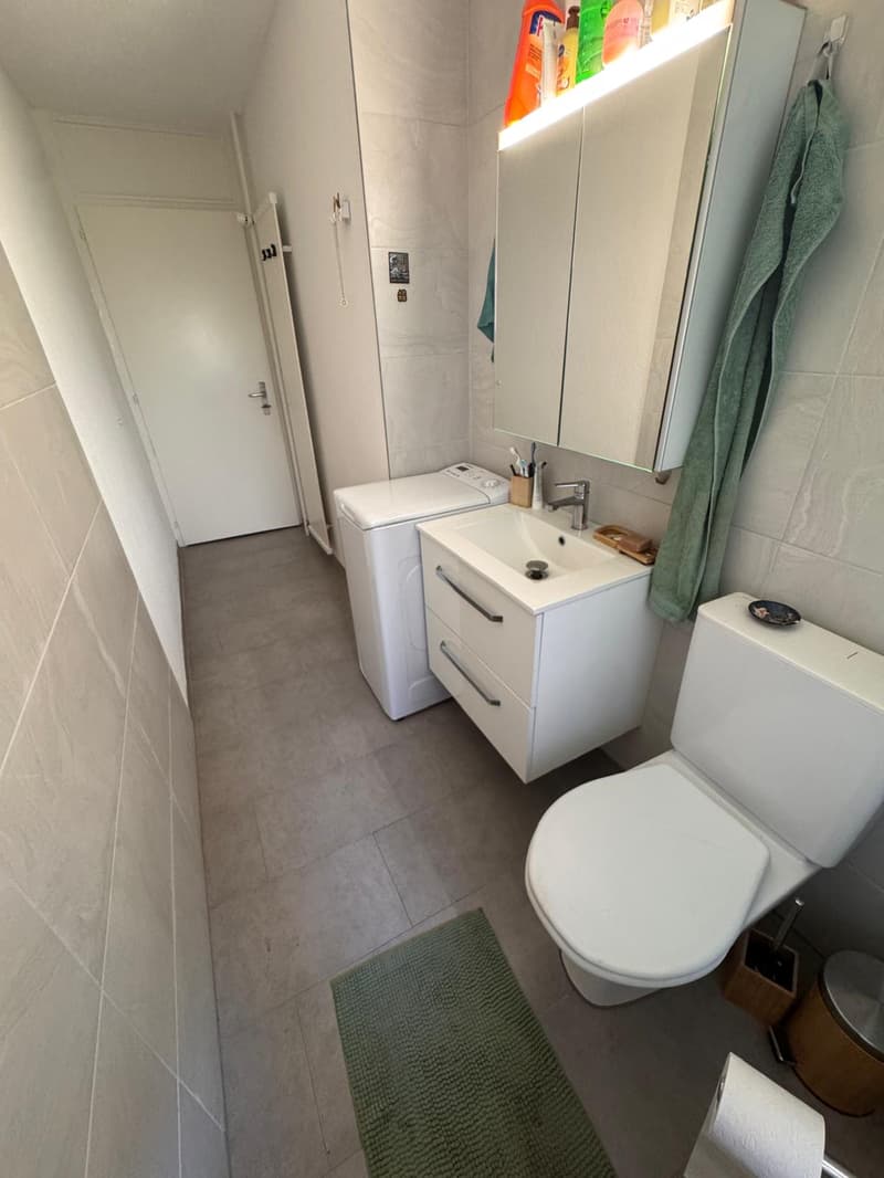 Appartement de 3 pièces rénové à La Chaux-de-Fonds (6)