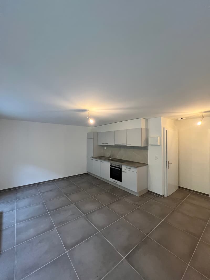 Appartement rénové de 3 pièces – CHF 1’050.– charges comprises (1)