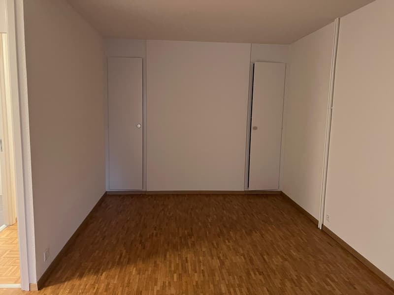Appartement 4 pièces lumineux avec balcon à Châtelaine (3)