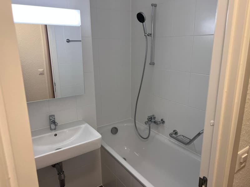 Appartement 4 pièces lumineux avec balcon à Châtelaine (4)