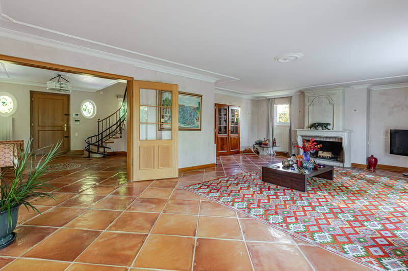 Prestigious property in Coppet (7)