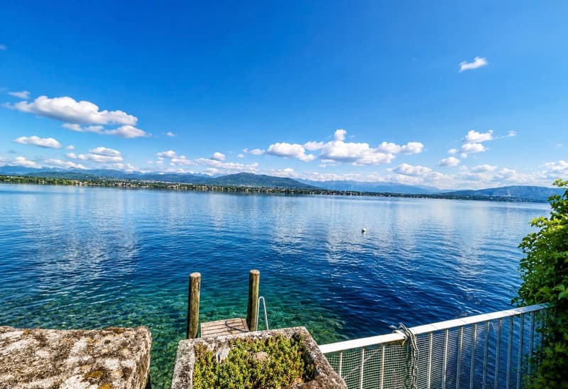 Propriété d’exception pieds dans l’eau à Coppet (2)