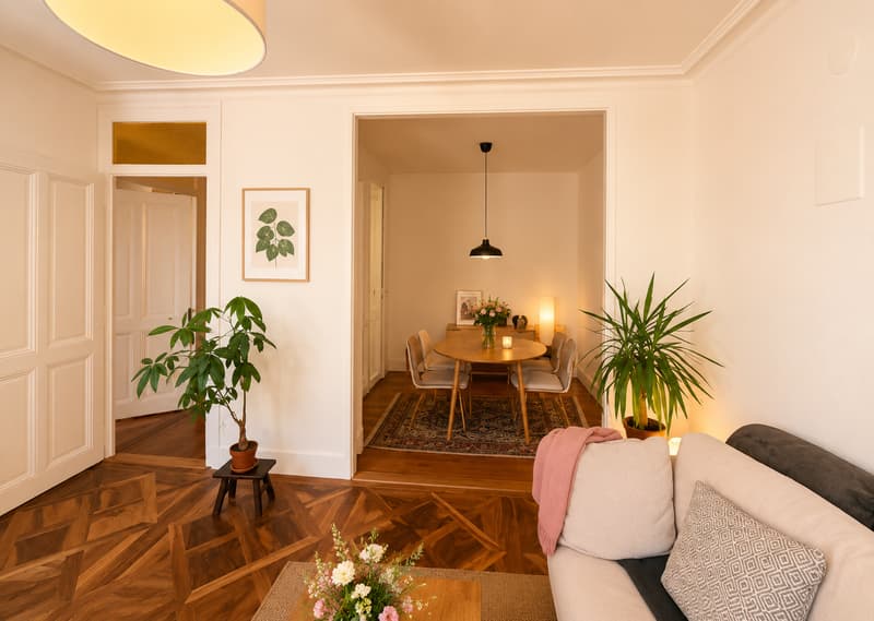 Magnifique appartement au cœur de Genève (2)