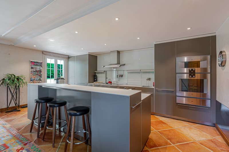 Prestigious property in Coppet (5)
