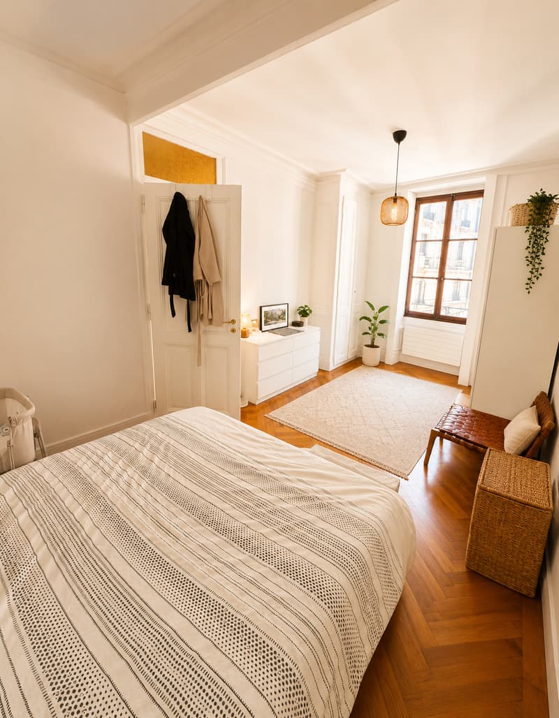 Magnifique appartement au cœur de Genève (4)