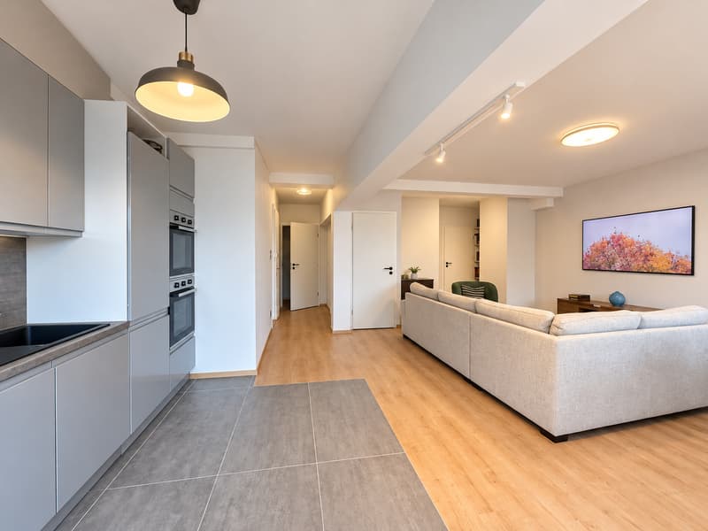 Magnifique duplex entièrement rénové au dernier étage (2)
