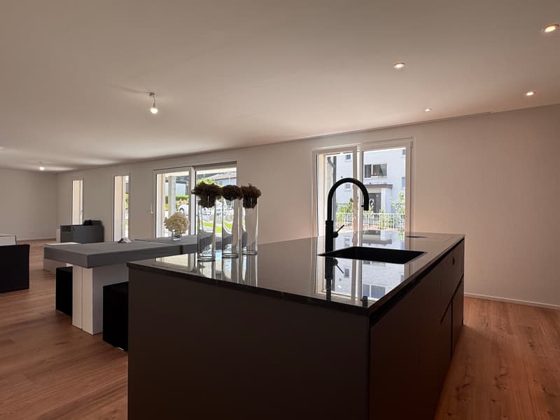 6-Zimmer Gartenwohnung, besser als ein Einfamilienhaus ? (9)