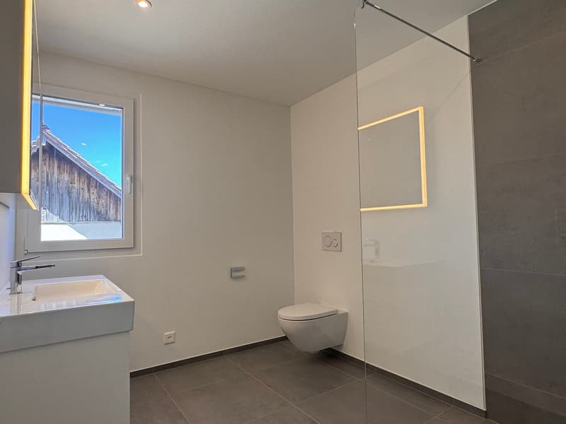 3.5 Zimmer Wohnung, Eigentum mit Charakter (17)