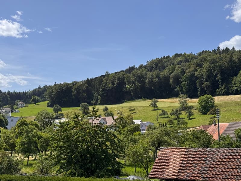 3.5 Zimmer Wohnung, Eigentum mit Charakter (21)
