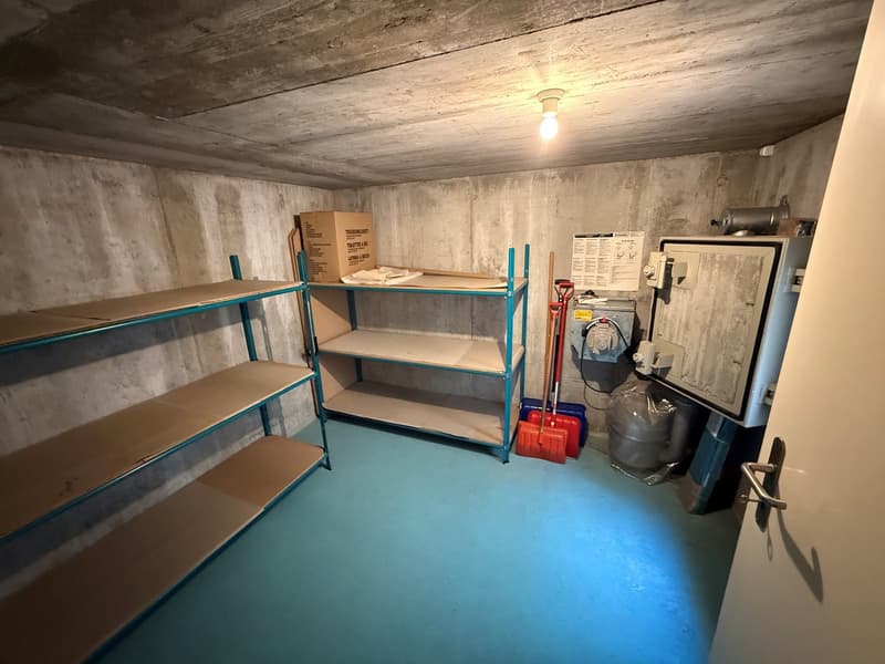 Freistehendes 5.5 Zmmer Einfamilienhaus, das Suchen hat ein Ende ! (27)