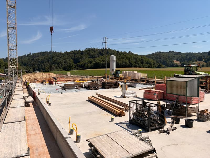 Gewerbefläche zur Miete in Egliswil, Neubau Gewerbepark Neumatt (3)