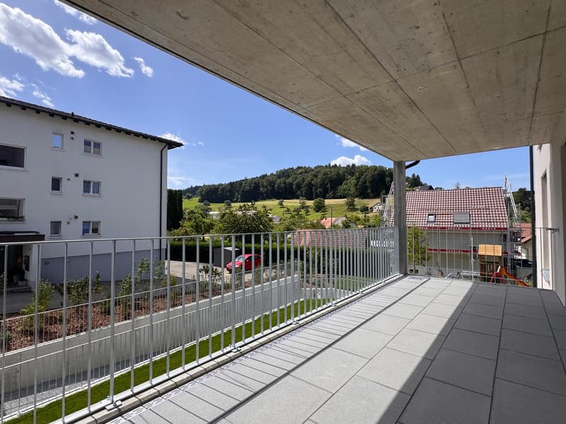 Moderne 3.5-Zimmer-Wohnung im Neubau in Gontenschwil. (18)