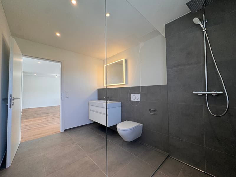 Moderne 3.5-Zimmer-Wohnung im Neubau in Gontenschwil. (9)