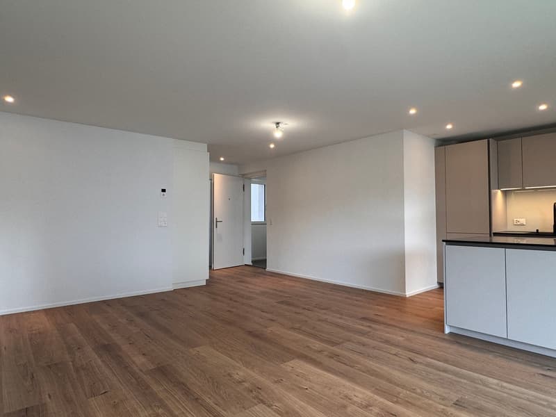 Moderne 3.5-Zimmer-Wohnung im Neubau in Gontenschwil. (7)