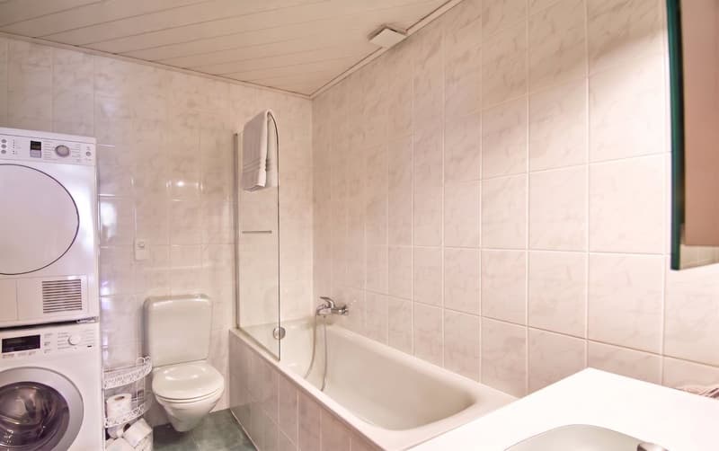 Copy: Appartement 2.5p avec terrasse au coeur du village (6)