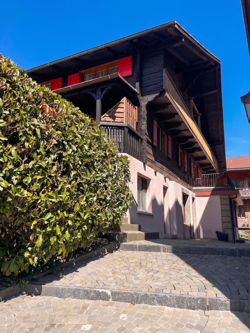 Copy: Appartement 2.5p avec terrasse au coeur du village (7)