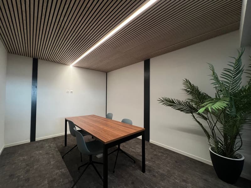 Open Space / Bureau à louer - Locaux premium (4)