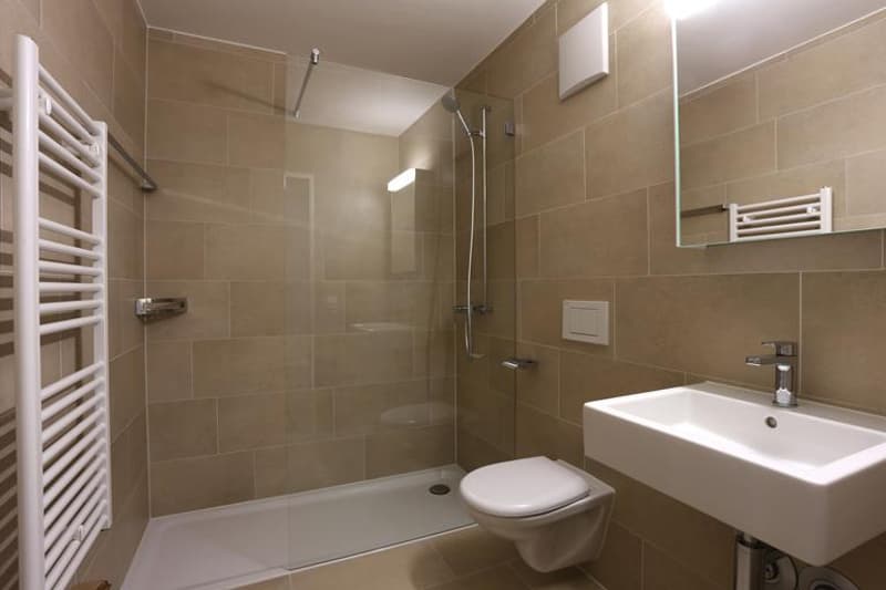 Modern 1.5-room studio near Langen Erlen (3)