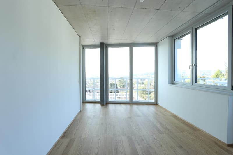 Appartamento 4,5 locali a Therwil (5)