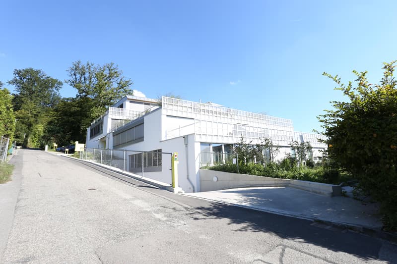 Appartamento 4,5 locali a Therwil (2)