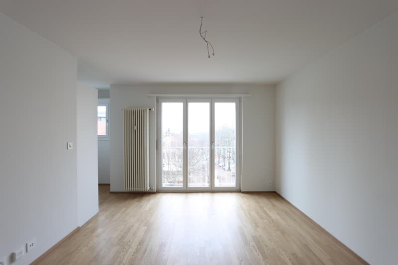 Appartement 1 pièce à Bâle (2)