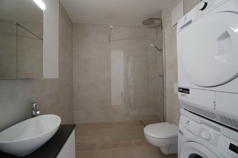 3.0 Zimmerwohnung in Allschwil (4)
