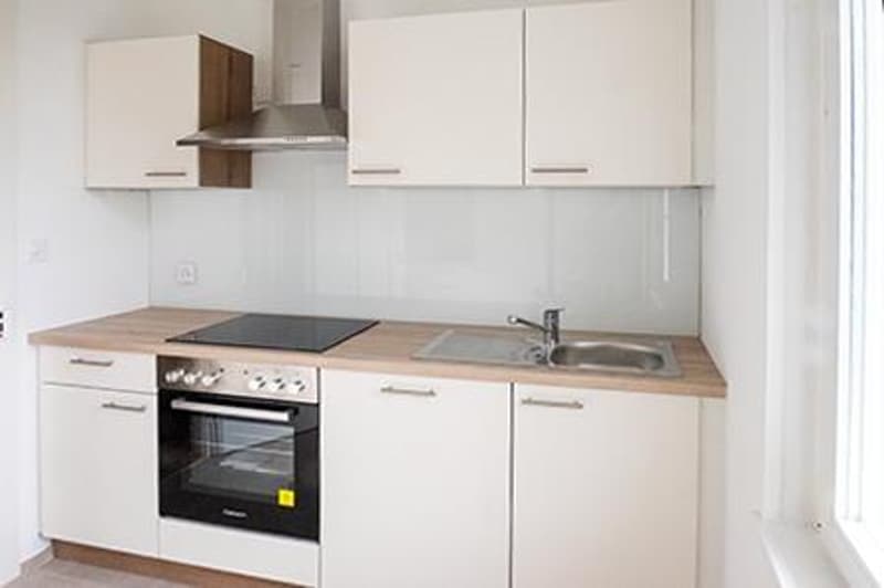 3.0 Zimmerwohnung in Allschwil (3)