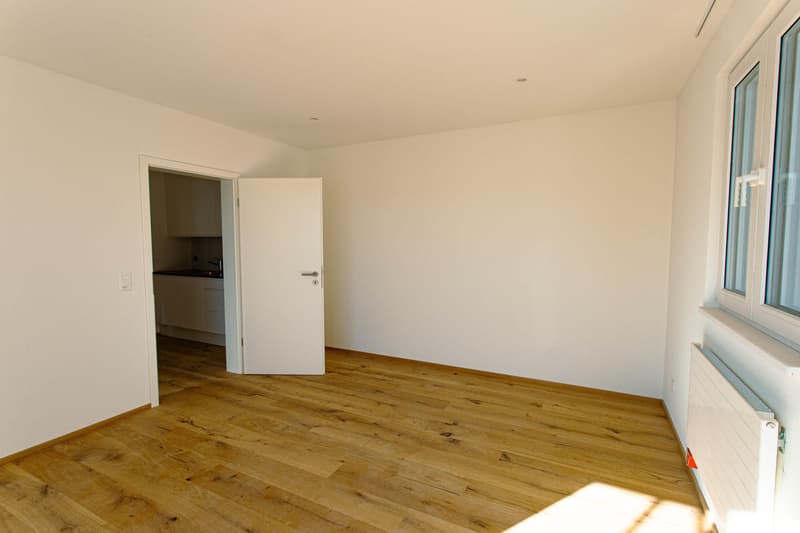1.0 Zimmerwohnung in Therwil (4)
