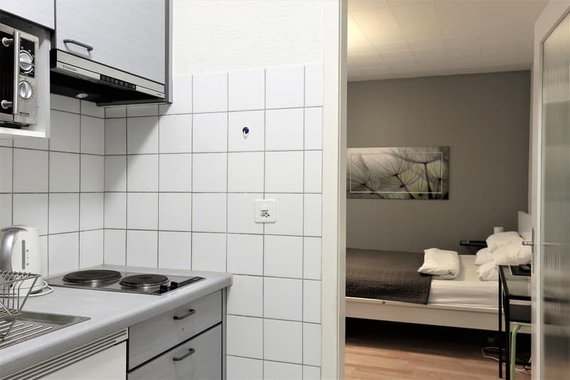 Modern möbliertes Apartmenthaus zwischen Wettsteinplatz und Roche (3)