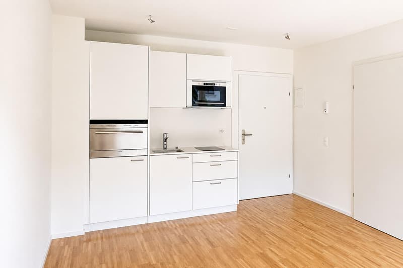 Moderne 1-Zimmerwohnung vermieten (2)