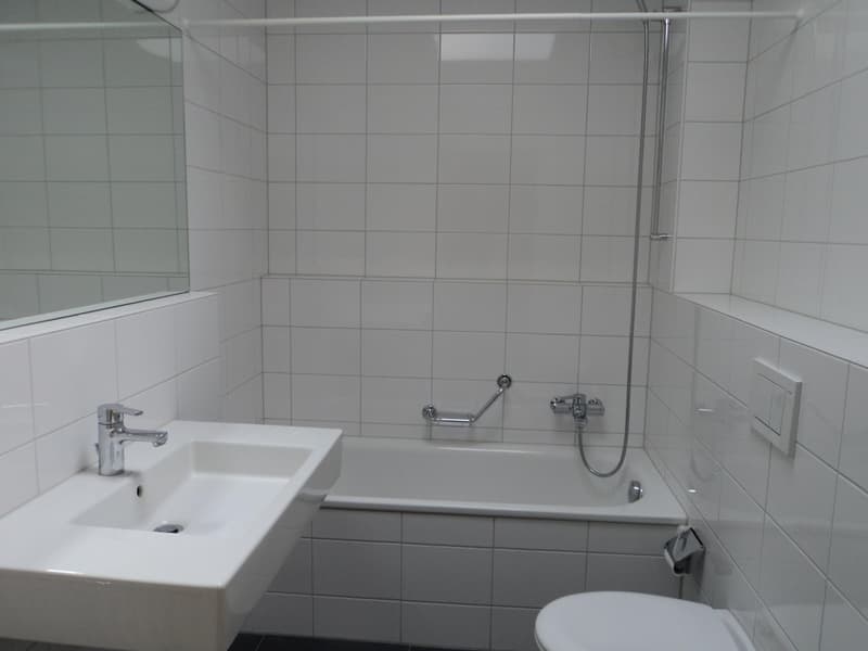 Wohnen im Grünen in Binningen - 4.5-Zimmer-Maisonettewohnung mit Hauscharakter (10)