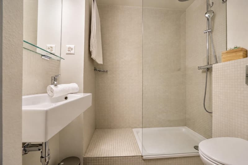 Modernes Apartmenthaus im Stadtzentrum (6)