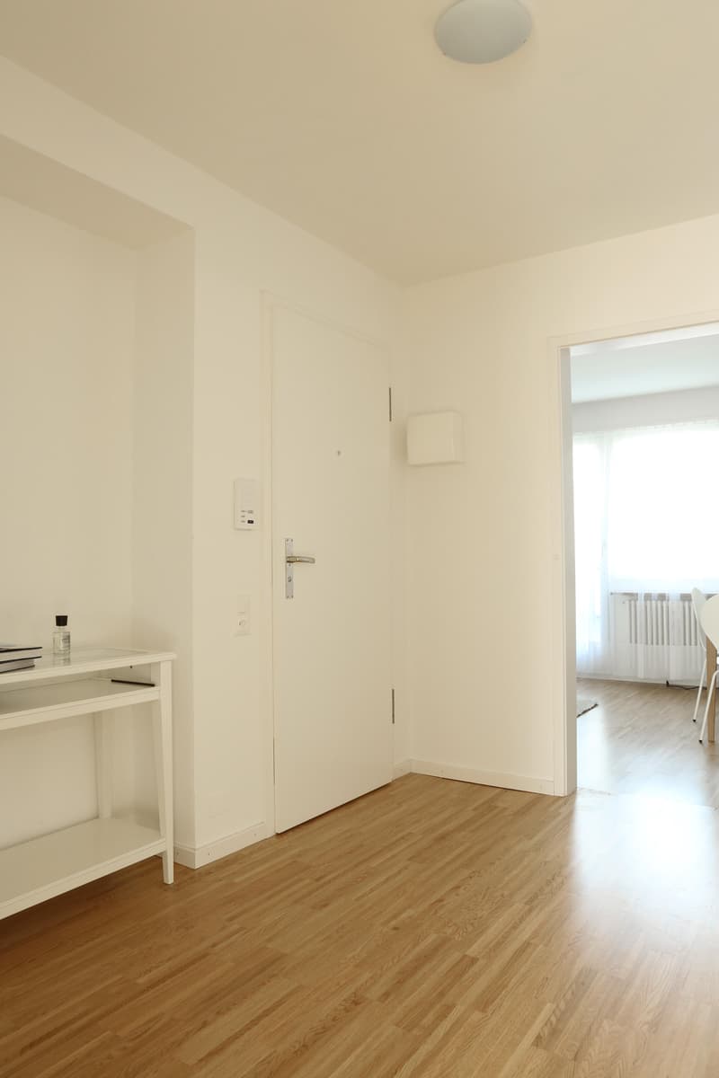 Möblierte 2-Zimmer-Dachwohnung mit Balkon (7)